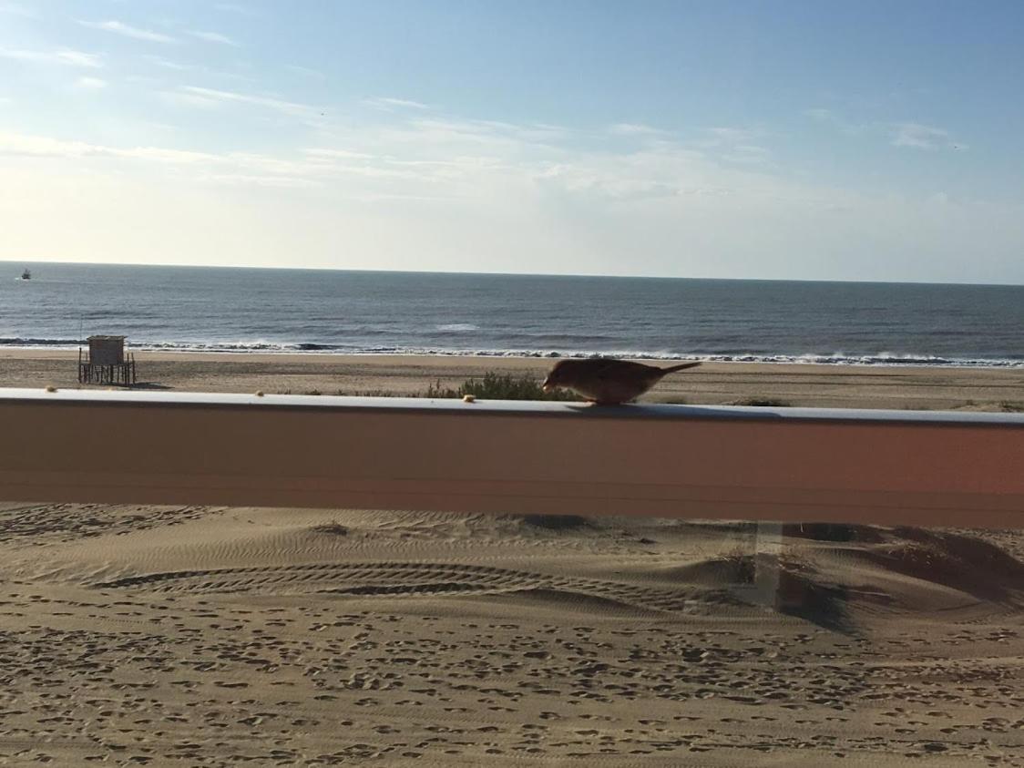 Mirasoles 20 Lägenhet Las Gaviotas Exteriör bild
